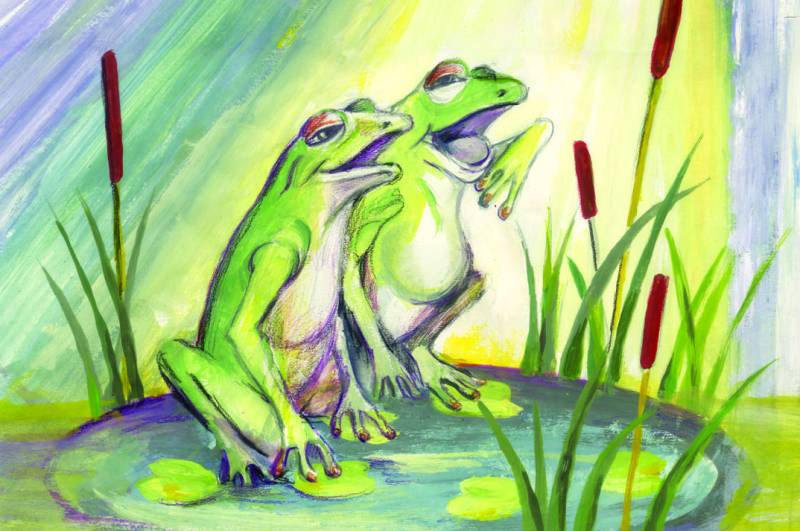 Οι "Βάτραχοι" ξανά στο Κάστρο Καλαμάτας με ειδικό σκοπό