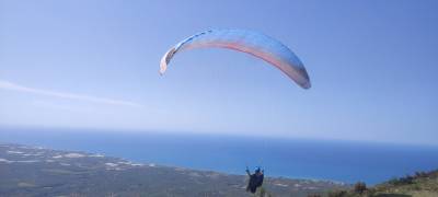 Εντυπωσιακές πτήσεις με αλεξίπτωτα πλαγιάς πάνω από την Κυπαρισσία (βίντεο+φωτογραφίες)