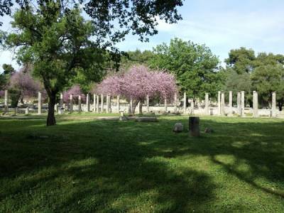 Προαιρετικό εισιτήριο με ενδεικτική τιμή