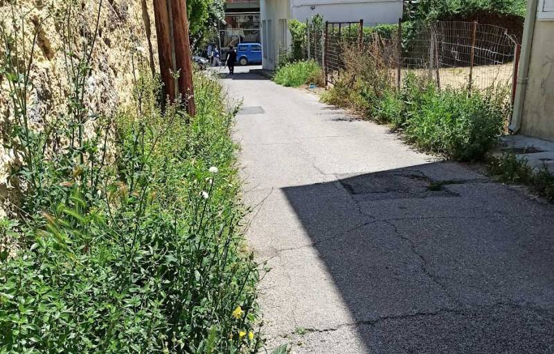 Αγριόχορτα στην Μπούτση