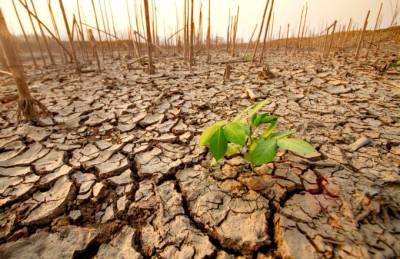 ΟΟΣΑ: Επιβράδυνση των δράσεων για την κλιματική κρίση – Στην πρωτοπορία η Ευρώπη που μειώνει τις εκπομπές ρύπων