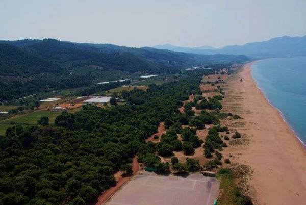 Χωρίς αλλαγές κατατέθηκε το ΠΔ για τον Κυπαρισσιακό στην Επιτροπή Φύσης