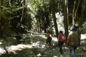 Κάτι είχα ακούσει για το Νέδοντα ποταμό… (φωτογραφίες)