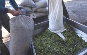 Δικαίωμα ενεργοποιημένο... και βουή μας μαύρη