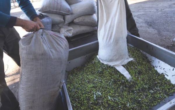 Δικαίωμα ενεργοποιημένο... και βουή μας μαύρη