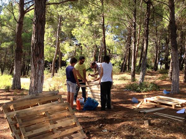 Ξύλινες κατασκευές στο πευκοδάσος στις Ράχες Τριφυλίας