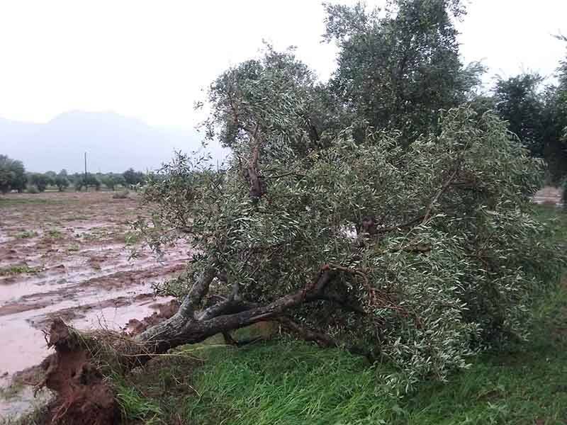 Επιστολή Κανάκη για ζημιές από κακοκαιρία