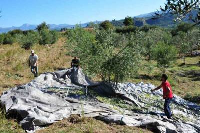 Επί Τάπητος: Παλιά ιστορία με νέα χαρακτηριστικά...