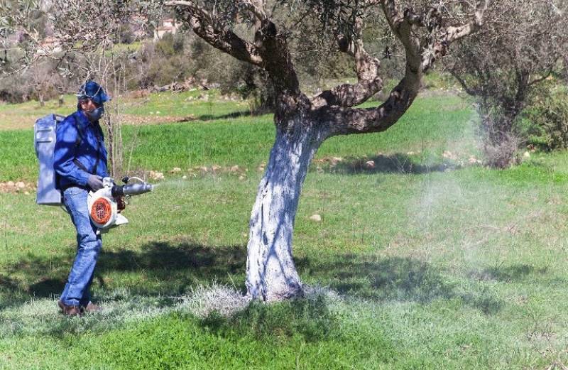 Μεσσηνία: Το πρόγραμμα δακοκτονίας για την Τρίτη 18/10