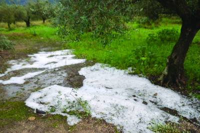 Αναγγελία ζημιάς από το χαλάζι στην Καλαμάτα