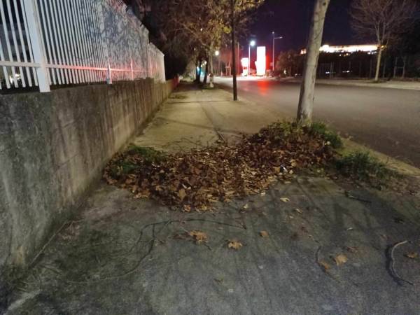 Φύλλα κλείνουν τα πεζοδρόμια