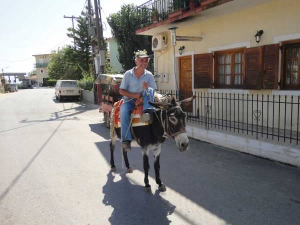 Εξυπηρετεί το γαϊδουράκι