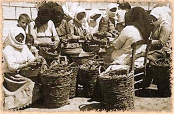 Κορινθιακή σταφίδα και προτάσεις προβολής