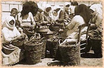 Κορινθιακή σταφίδα και προτάσεις προβολής