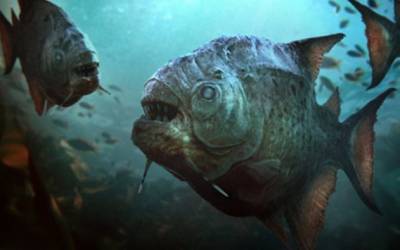 Καρχαρίες και πιράνχας