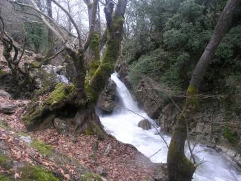 Εξόρμηση του Ορειβατικού στον Ερύμανθο
