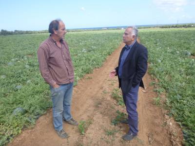 Εξυγίανση της αγοράς καρπουζιού ζητεί ο Αλευράς