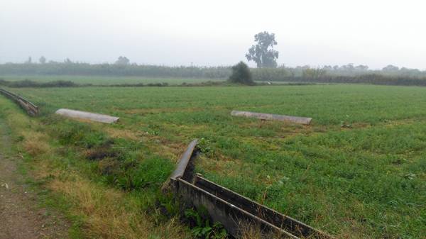 Καμία παρέμβαση μετά τις καταστροφικές πλημμύρες: Βομβαρδισμένο παραμένει το δίκτυο του ΓΟΕΒ