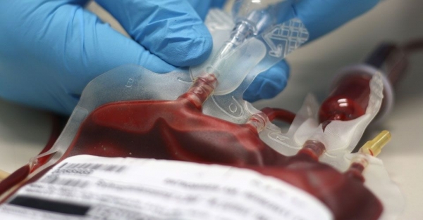 Αιμοδοσία στο ΤΕΙ Καλαμάτας