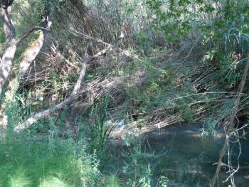 Σκουπίδια στο Πολυλίμνιο