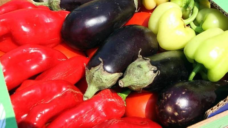 Η μεσογειακή διατροφή στην ελληνική κοινωνία και οι παράγοντες που επηρεάζουν τη διατροφική μας συμπεριφορά