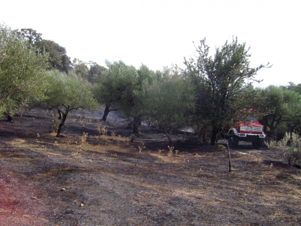 Σύμφωνα με όσα υποστήριξε στην απολογία του: Δεν καταλάβαινε τι έκανε ο εμπρηστής του Δωρίου