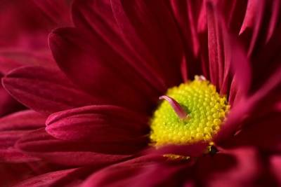 Αστρολογία – 13/06/2024