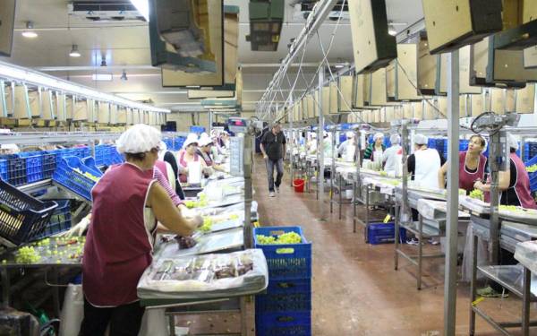 Οι Ελληνες εργάζονται 5,5 ώρες περισσότερο κάθε εβδομάδα σε σχέση με τους Ευρωπαίους