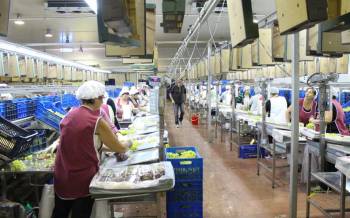 Οι Ελληνες εργάζονται 5,5 ώρες περισσότερο κάθε εβδομάδα σε σχέση με τους Ευρωπαίους