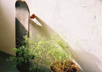 Η πράσινη βαλίτσα | Αννίτα Λουδάρου