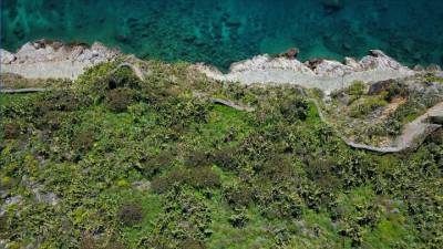 Σκρέκας: Διοικητικές και νομοθετικές πρωτοβουλίες για τους δασικούς χάρτες