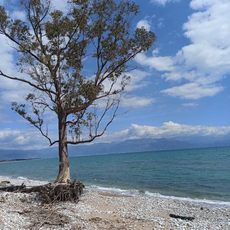 Σπέρνουν ενισχύσεις και θερίζουν θύελλες