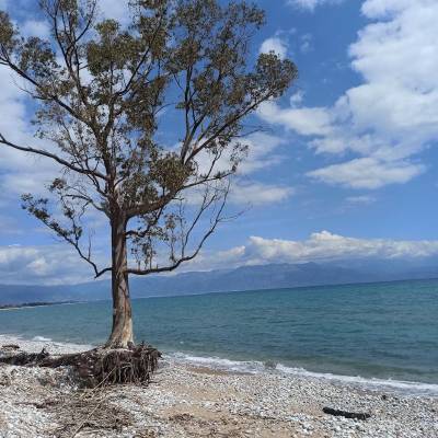 Σπέρνουν ενισχύσεις και θερίζουν θύελλες