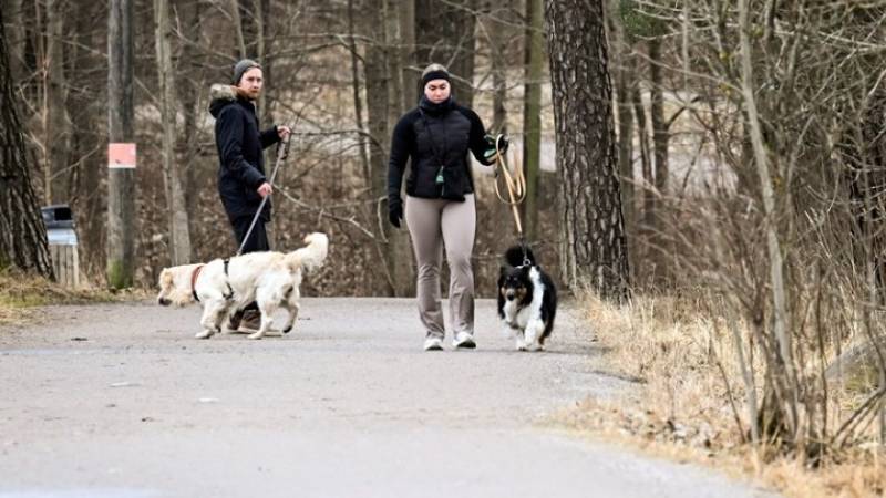 Υιοθετήθηκε νομοσχέδιο για την κοινή κηδεμονία των ζώων συντροφιάς μετά το διαζύγιο
