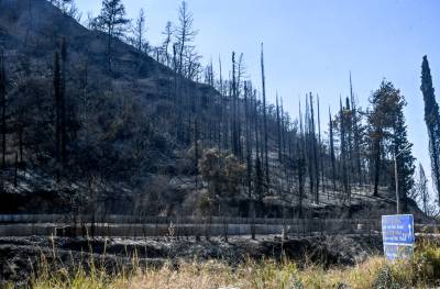 Πάτρα: Χωρίς ενεργό μέτωπο η πυρκαγιά στην περιοχή των Συχαινών (βίντεο)