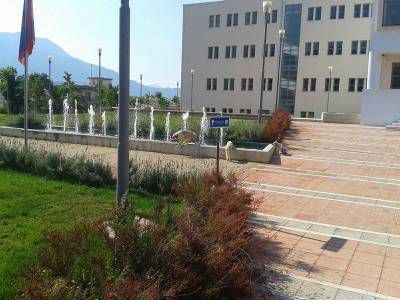 Δροσίζονται τα αδέσποτα