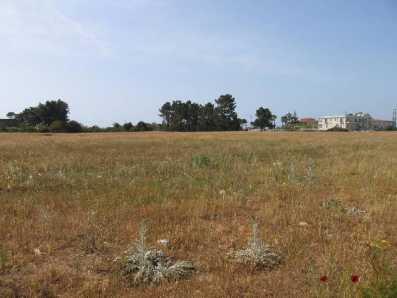 Πρόταση του λιμενάρχη Καλαμάτας στην Περιφέρεια: Να αξιοποιηθεί το κτήμα δωρεά των εφοπλιστών στην Ανάληψη