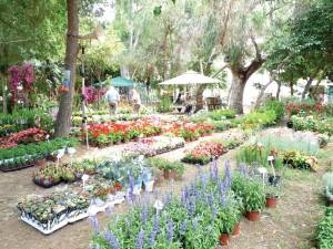 Ξεκινά αύριο στην Καλαμάτα η 2η Ανθοκομική Εκθεση