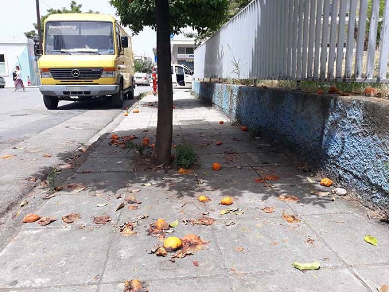 Εικόνα εγκατάλειψης