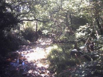 Εβαλε στο μάτι τις πηγές της Μέλπειας