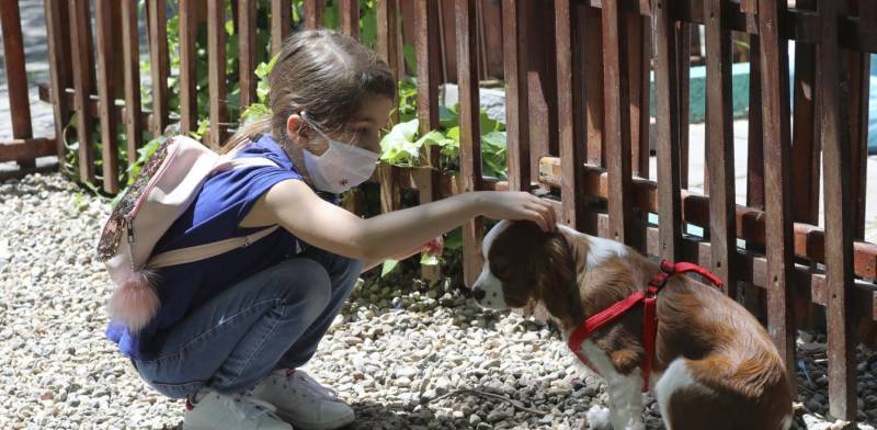 Κορονοϊός - Μαζάνης: Μόνο με τον εμβολιασμό παιδιών θα μπορέσουμε να έχουμε καλή σχολική χρονιά