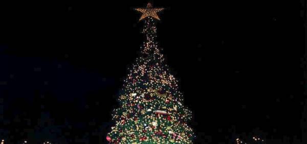 10 έλατα θα φωταγωγήσει ο Δήμος Μεσσήνης