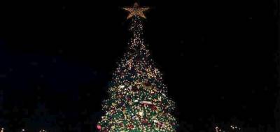 10 έλατα θα φωταγωγήσει ο Δήμος Μεσσήνης