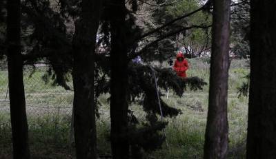 Θεσσαλονίκη: Αναζητείται ο 34χρονος που σκότωσε τη μητέρα του (βίντεο)