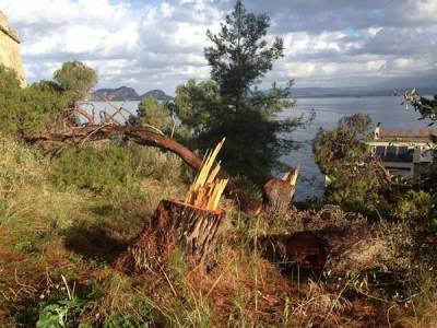 Αποκατάσταση του χώρου γύρω από το Νιόκαστρο