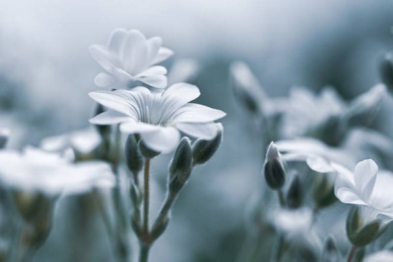 Τι λένε τα ζώδια σήμερα (12/6)