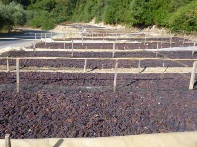 Ο κοινός αγώνας οδηγεί σε λύσεις