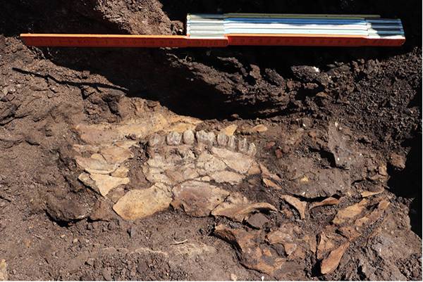 Σημαντικά ευρήματα από ανασκαφές στη Μεγαλόπολη