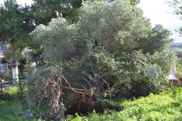 Ανεμοστρόβιλος χτύπησε την Αγία Κυριακή