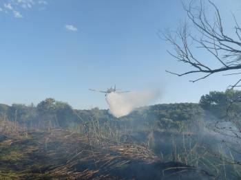 Στην Καλαμάτα τα PZL τη Δευτέρα